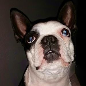 Meet your Posher, Sandy